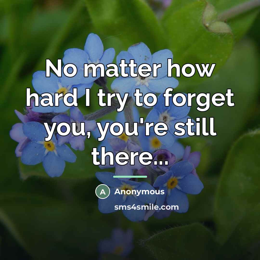 “No matter how hard I try to forget you, you're…” quote by Anonymous