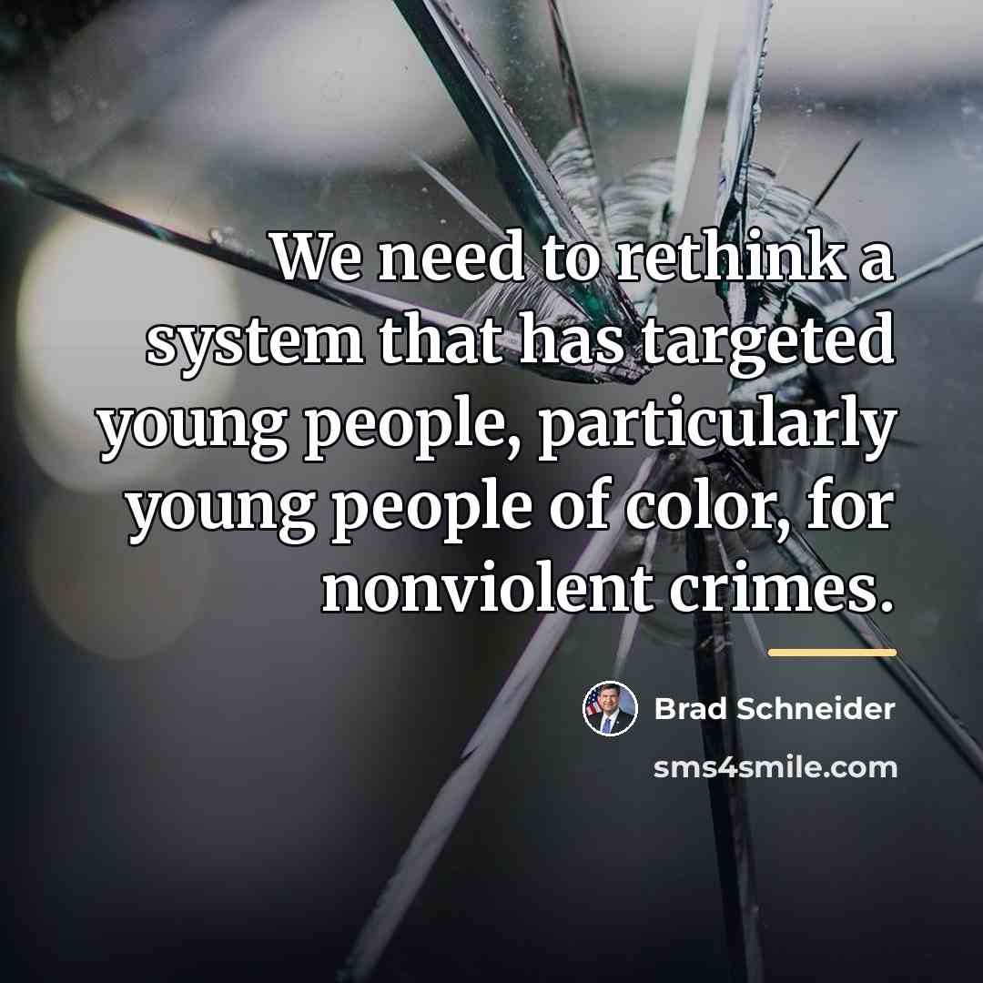 “We need to rethink a system that has targeted young…” quote by Brad Schneider