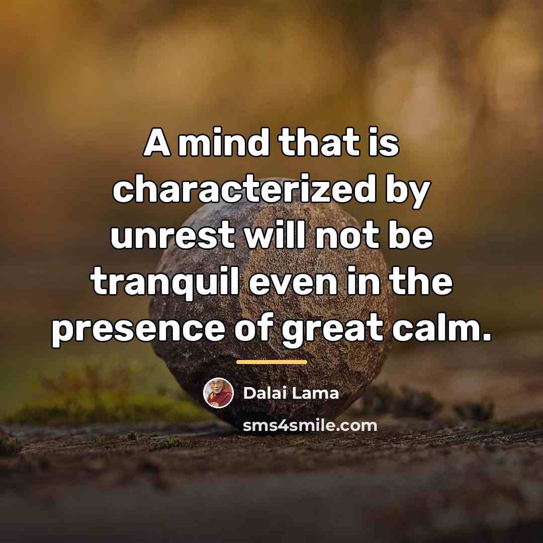 “A mind that is characterized by unrest will not be…” quote by Dalai Lama