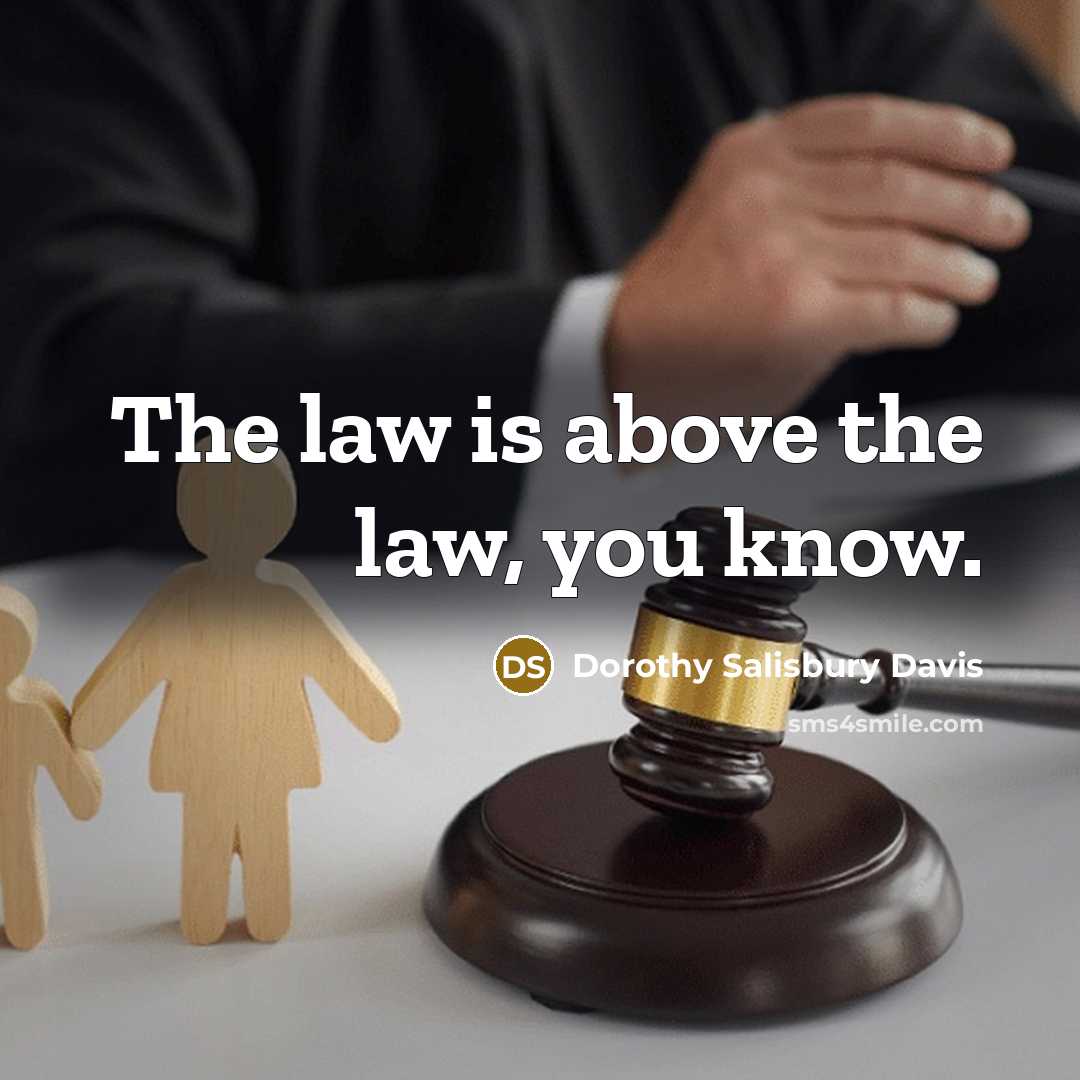 “The law is above the law, you know.…” quote by Dorothy Salisbury Davis