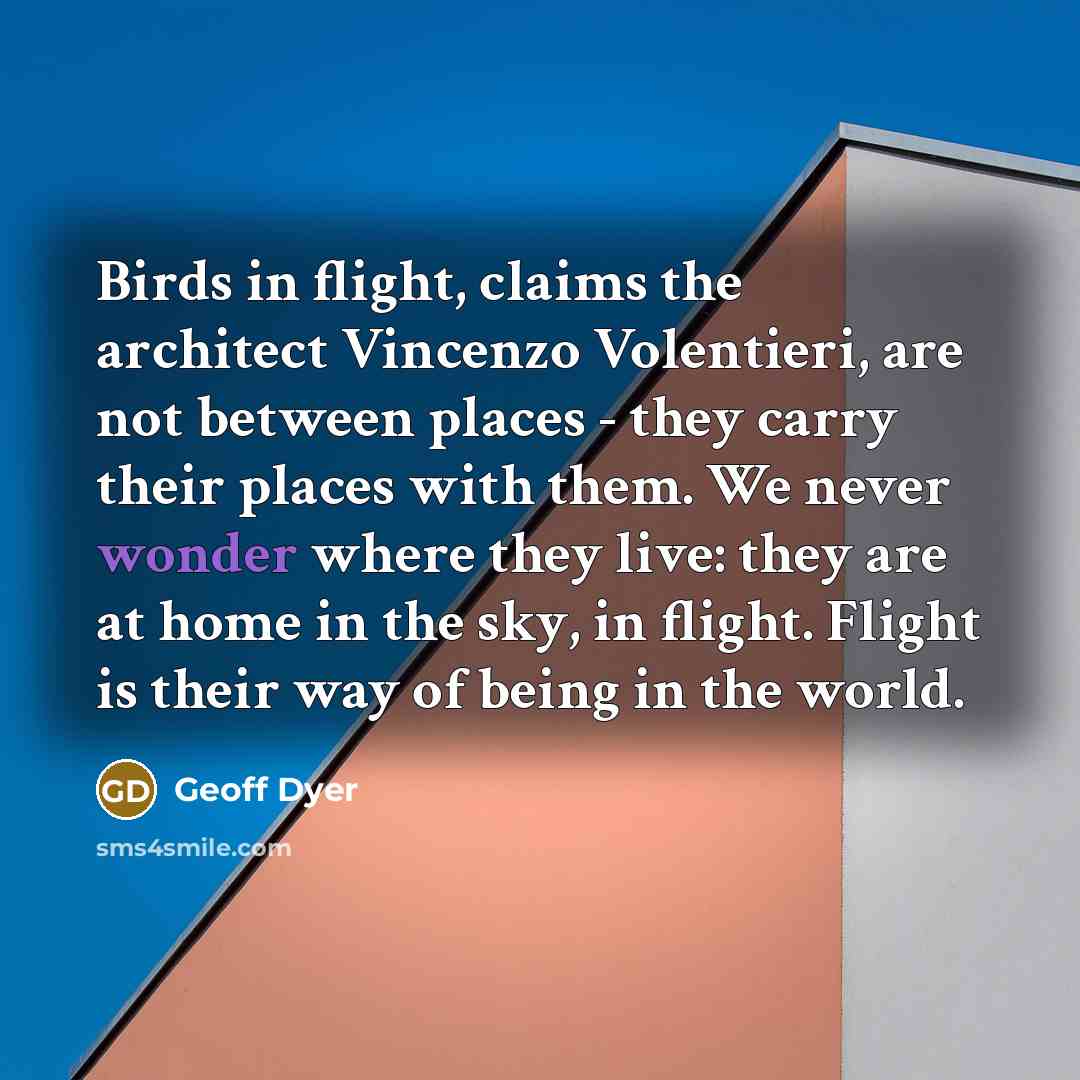 “Birds in flight, claims the architect Vincenzo Volentieri, are not…” quote by Geoff Dyer