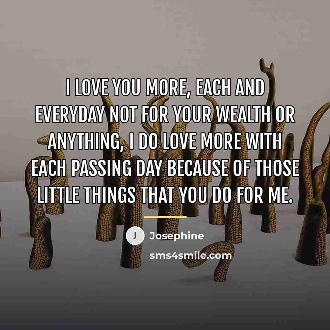 “I love you more, each and everyday not for your…” quote by Josephine