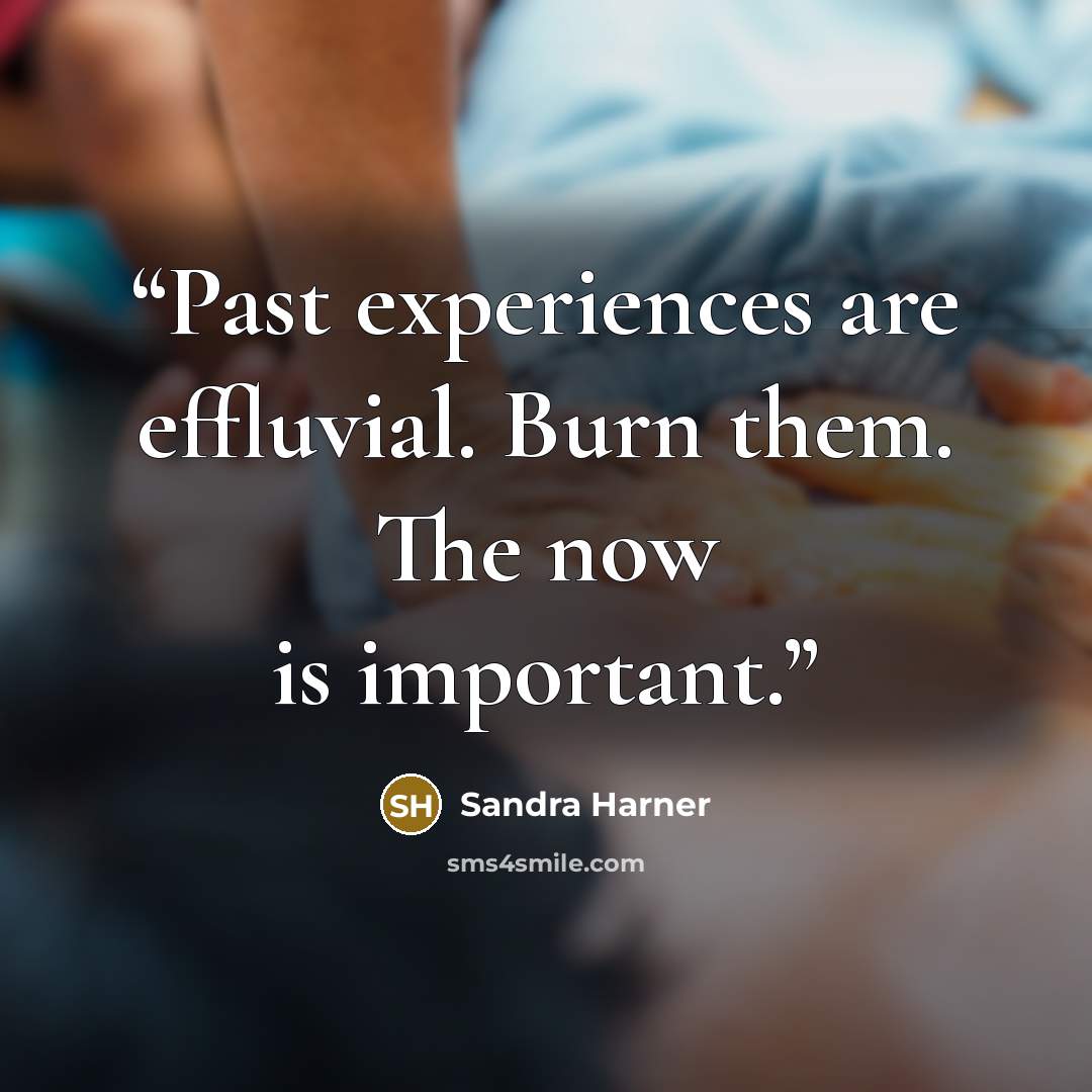 “Past experiences are effluvial. Burn them. The now is important.” quote by Sandra Harner