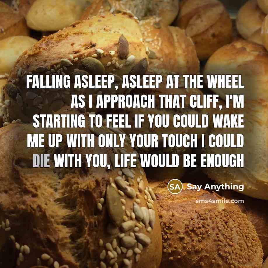 “Falling asleep, asleep at the wheel as I approach that cliff, I'm starting to feel If you could wake me up with only your touch I could die with you, life would be enough” quote by Say Anything