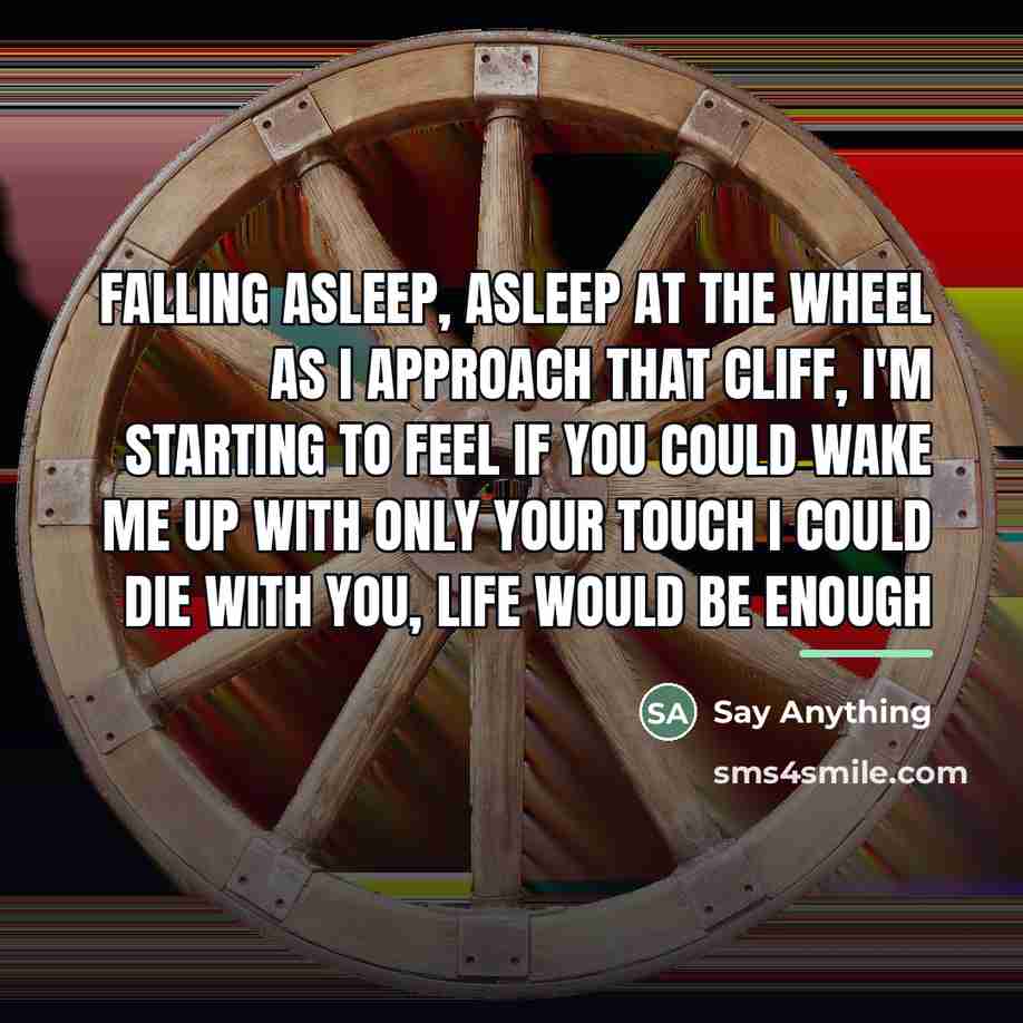 “Falling asleep, asleep at the wheel as I approach that…” quote by Say Anything