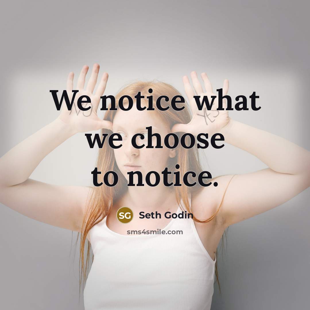 “We notice what we choose to notice.…” quote by Seth Godin