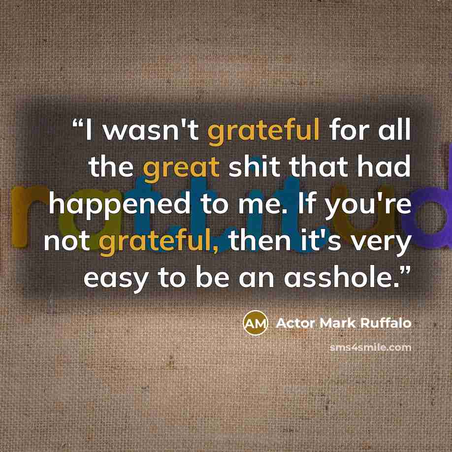 “I wasn't grateful for all the great shit that had happened to me. If you're not grateful, then it's very easy to be an asshole.” quote by Actor Mark Ruffalo