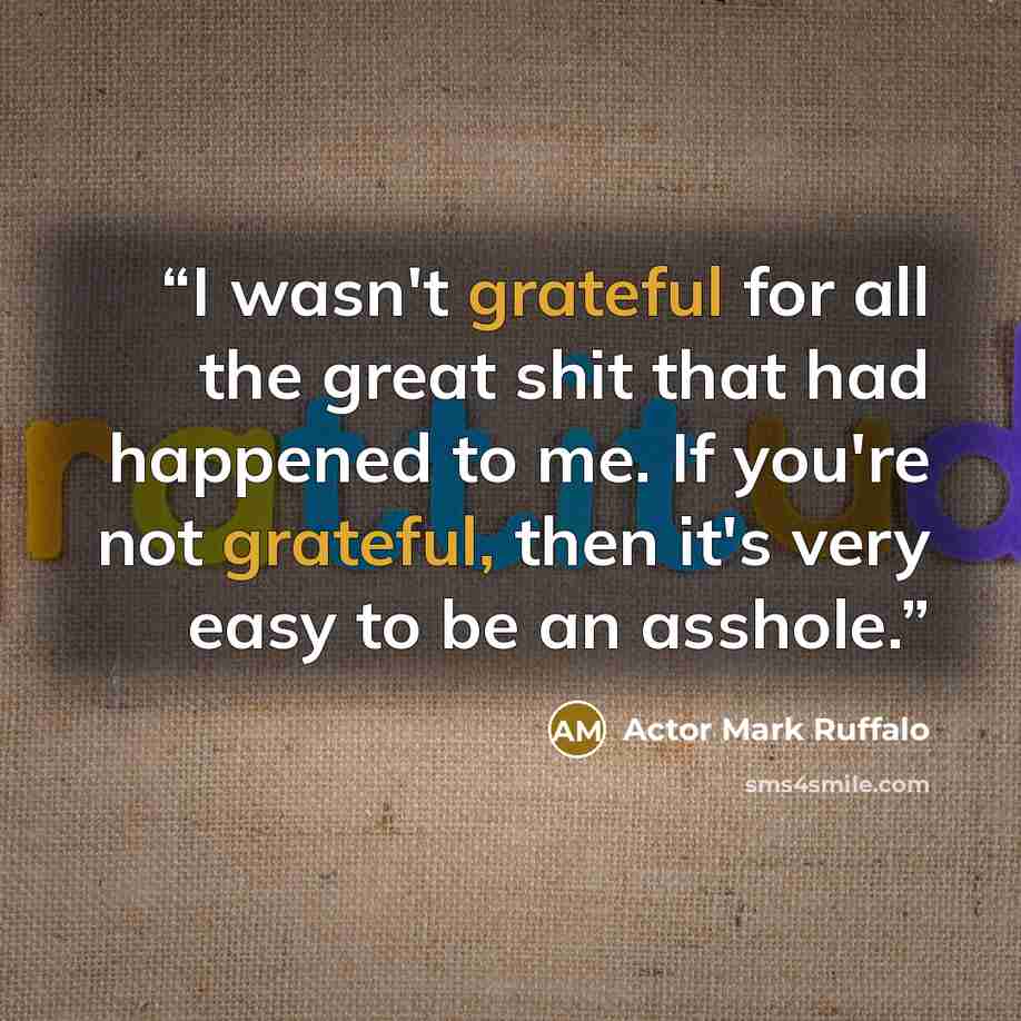 “I wasn't grateful for all the great shit that had happened to me. If you're not grateful, then it's very easy to be an asshole.” quote by Actor Mark Ruffalo