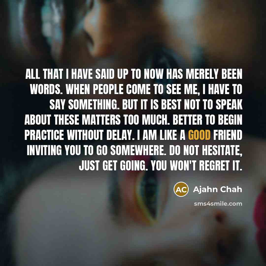 “All that I have said up to now has merely…” quote by Ajahn Chah