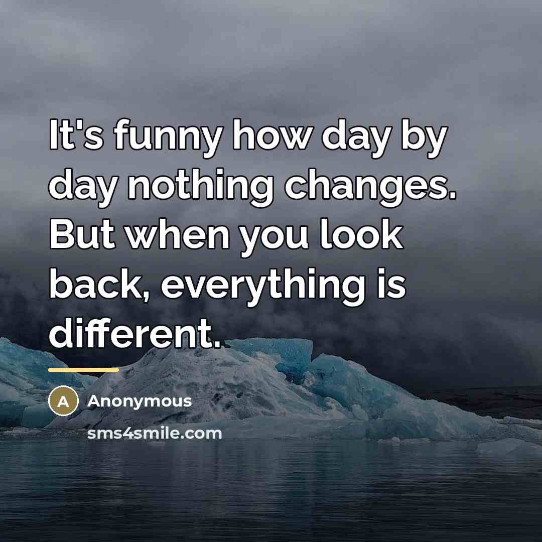 “It's funny how day by day nothing changes. But when…” quote by Anonymous