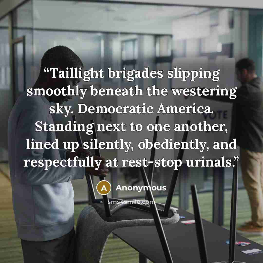 “Taillight brigades slipping smoothly beneath the westering sky. Democratic America. Standing next to one another, lined up silently, obediently, and respectfully at rest-stop urinals.” quote by Anonymous
