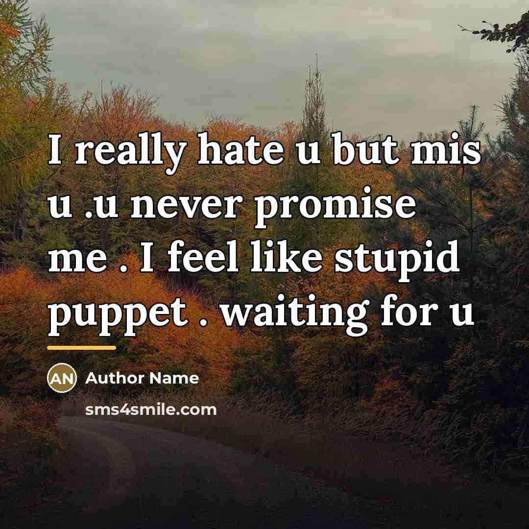 “I really hate u but mis u .u never promise…” quote by Author Name