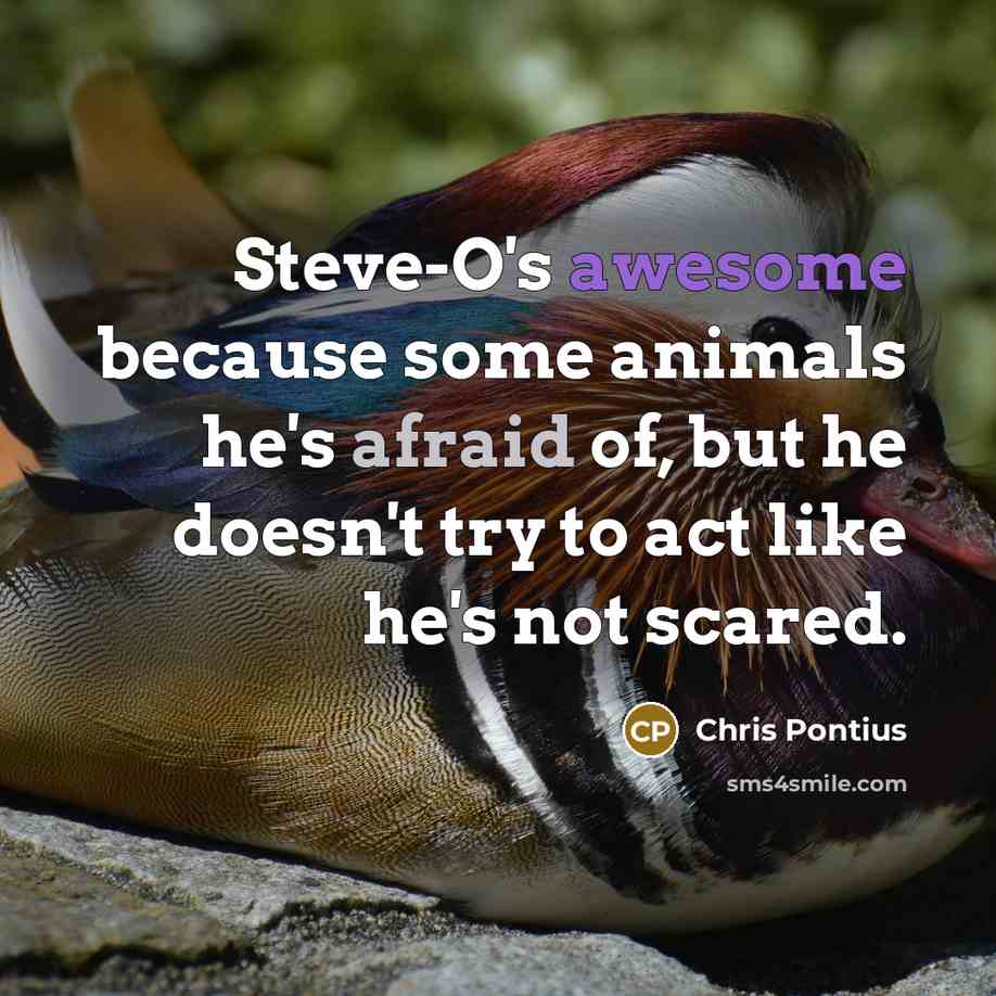 “Steve-O's awesome because some animals he's afraid of, but he doesn't try to act like he's not scared.” quote by Chris Pontius