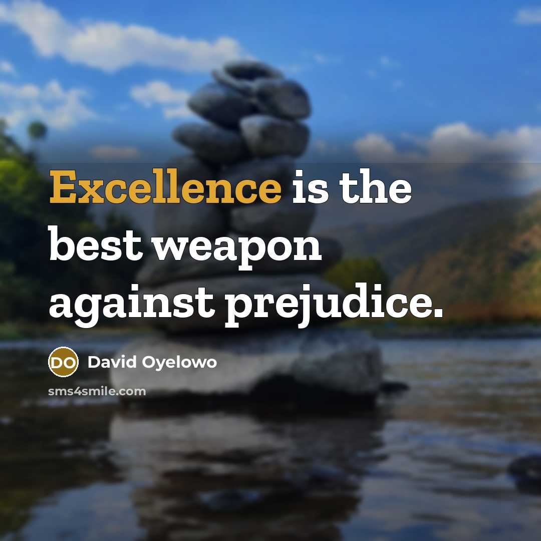 “Excellence is the best weapon against prejudice.…” quote by David Oyelowo