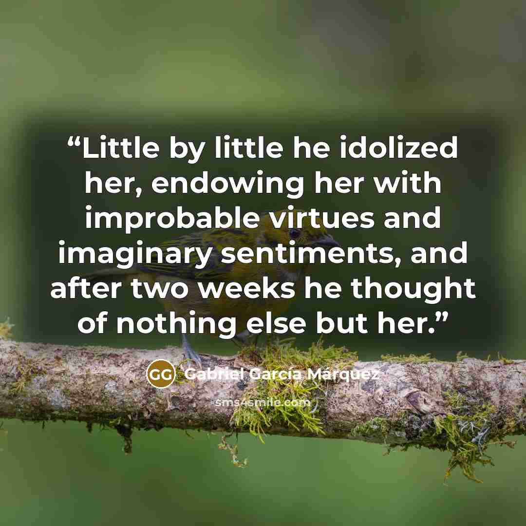 “Little by little he idolized her, endowing her with improbable virtues and imaginary sentiments, and after two weeks he thought of nothing else but her.” quote by Gabriel García Márquez