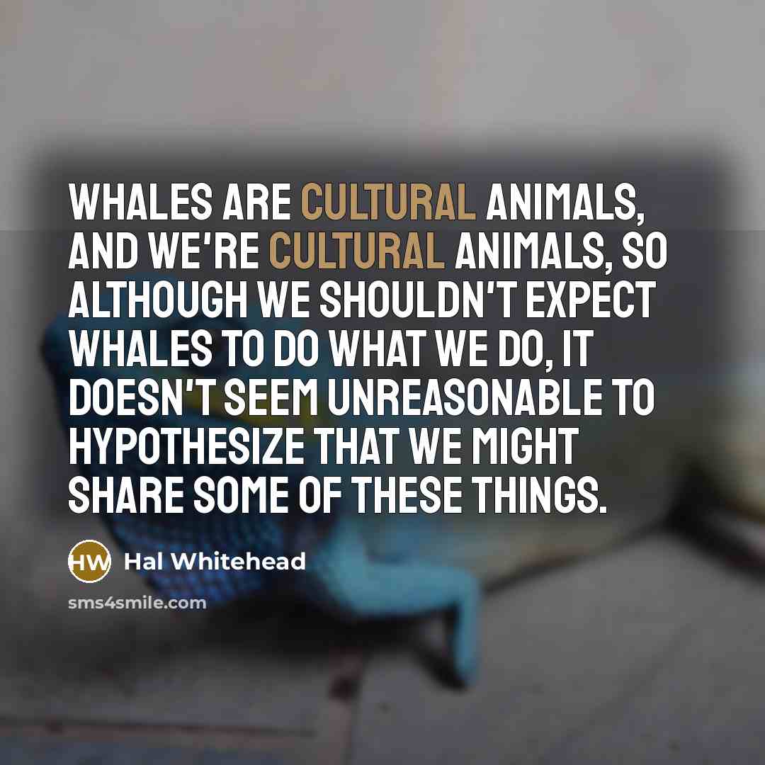 “Whales are cultural animals, and we're cultural animals, so although…” quote by Hal Whitehead
