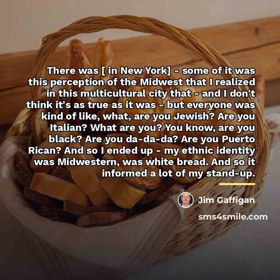 “There was [ in New York] - some of it…” quote by Jim Gaffigan