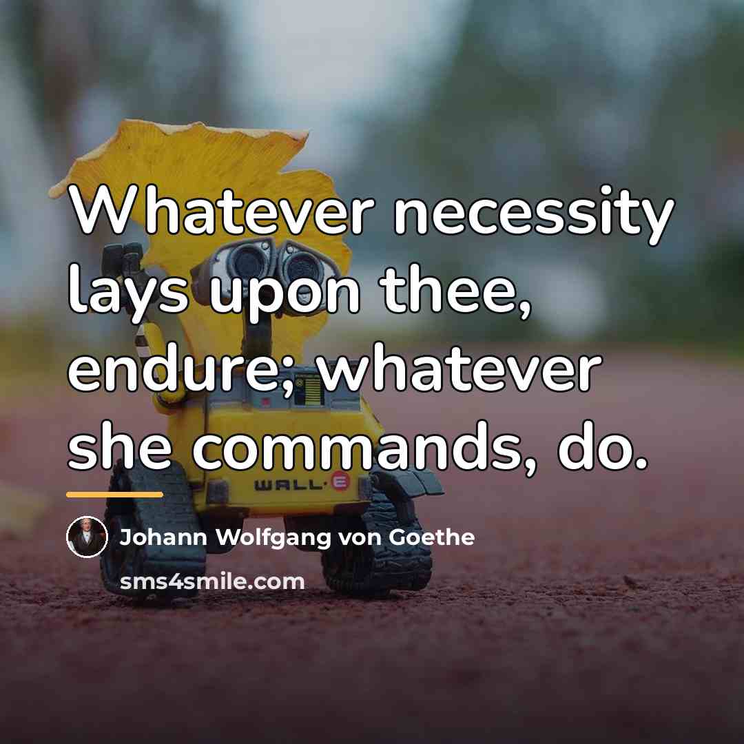 “Whatever necessity lays upon thee, endure; whatever she commands, do.…” quote by Johann Wolfgang von Goethe