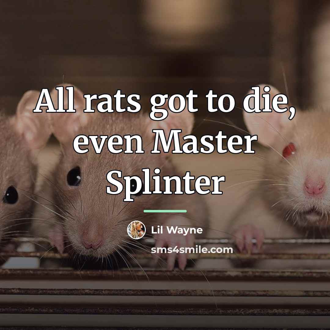 “All rats got to die, even Master Splinter…” quote by Lil Wayne
