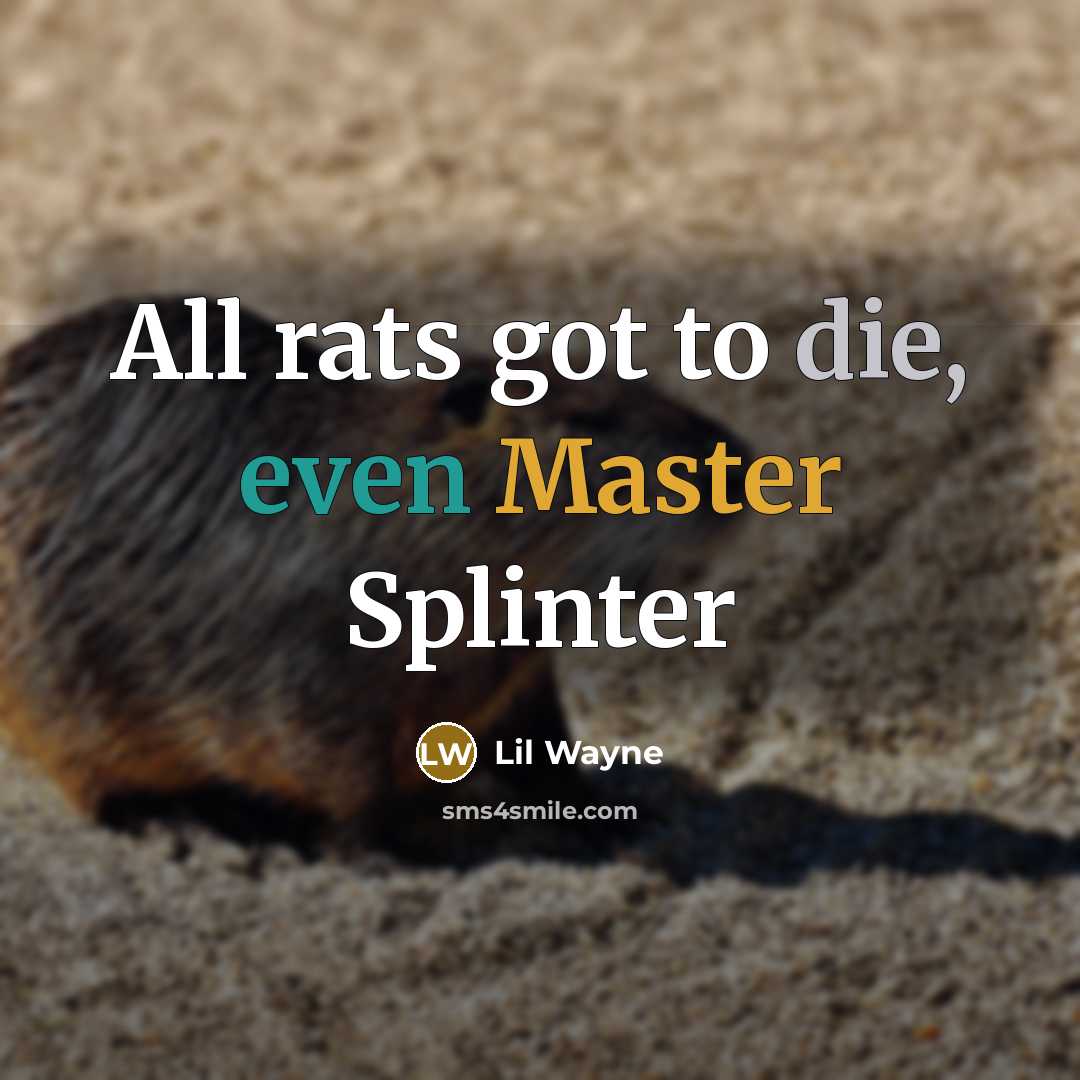 “All rats got to die, even Master Splinter” quote by Lil Wayne