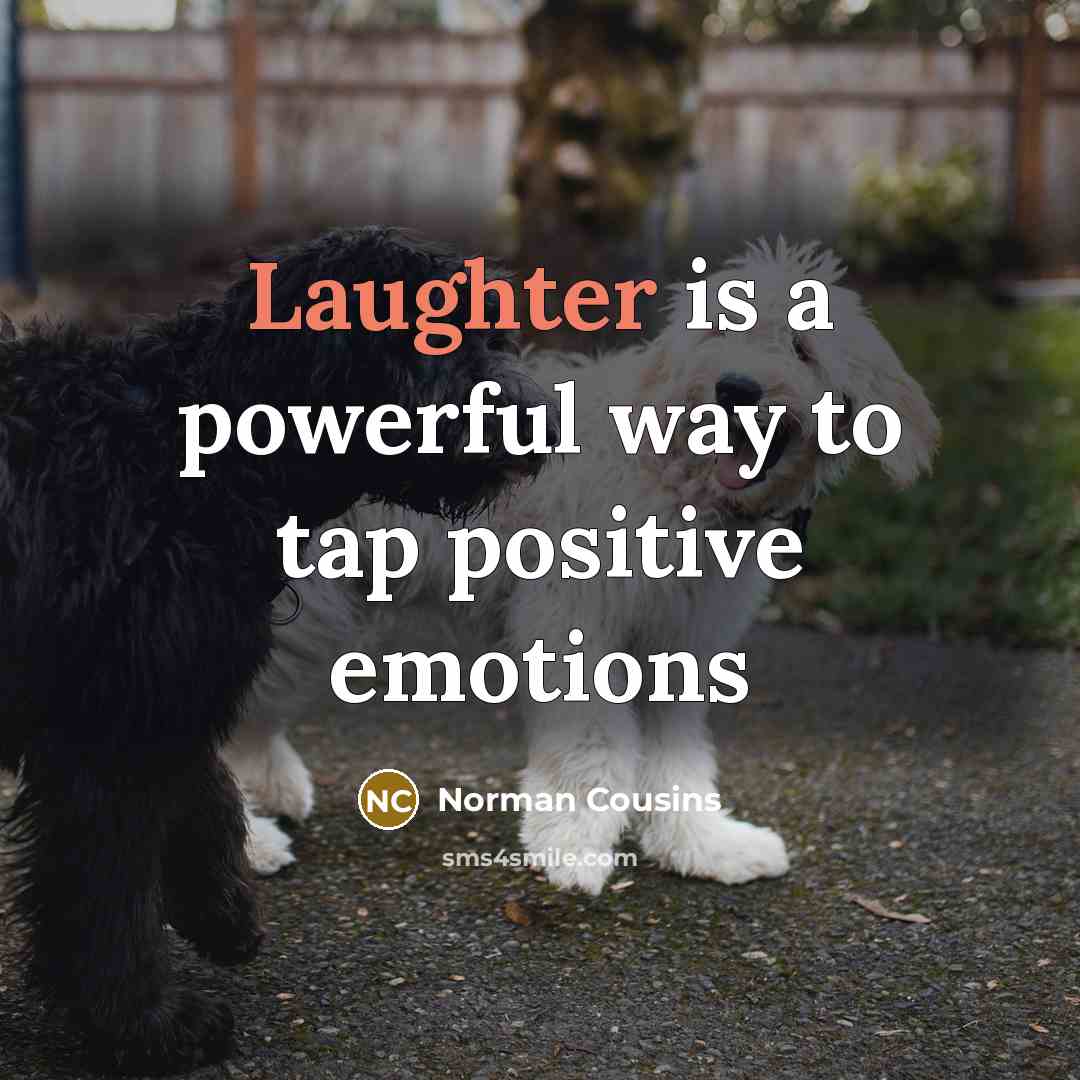 “Laughter is a powerful way to tap positive emotions…” quote by Norman Cousins