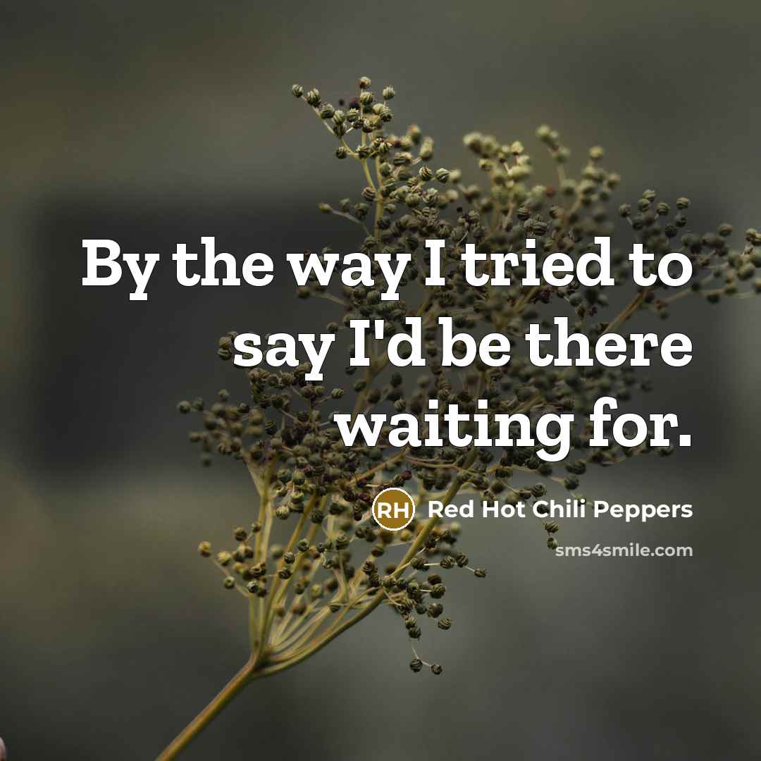 “By the way I tried to say I'd be there…” quote by Red Hot Chili Peppers