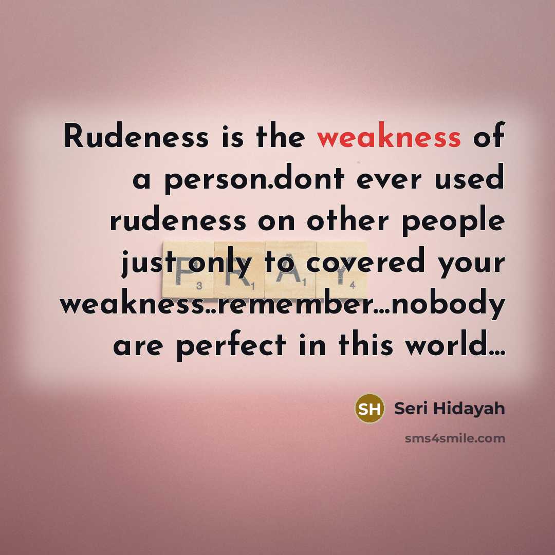 “Rudeness is the weakness of a person.dont ever used rudeness on other people just only to covered your weakness..remember...nobody are perfect in this world...” quote by Seri Hidayah