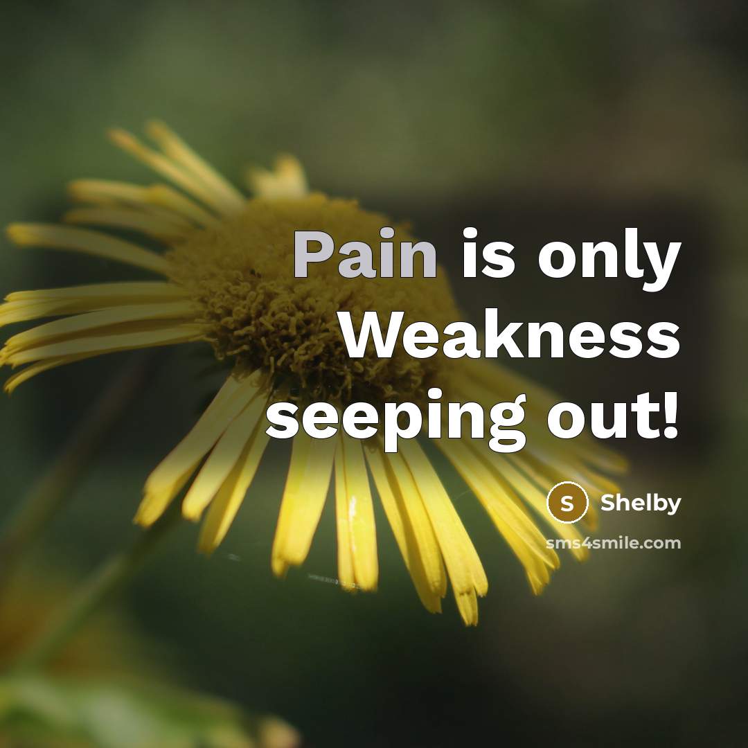 “Pain is only Weakness seeping out!…” quote by Shelby