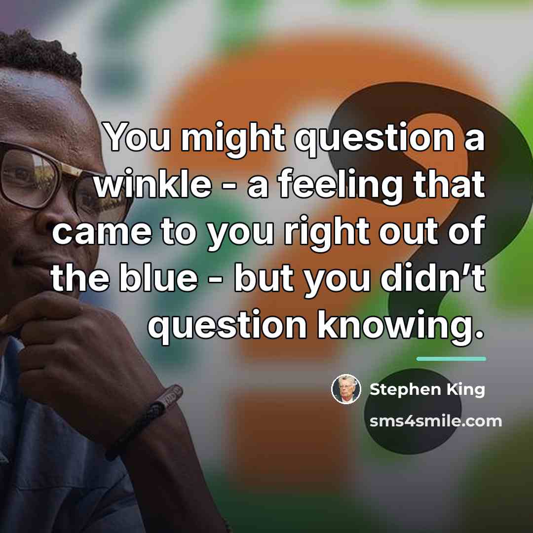 “You might question a winkle - a feeling that came…” quote by Stephen King