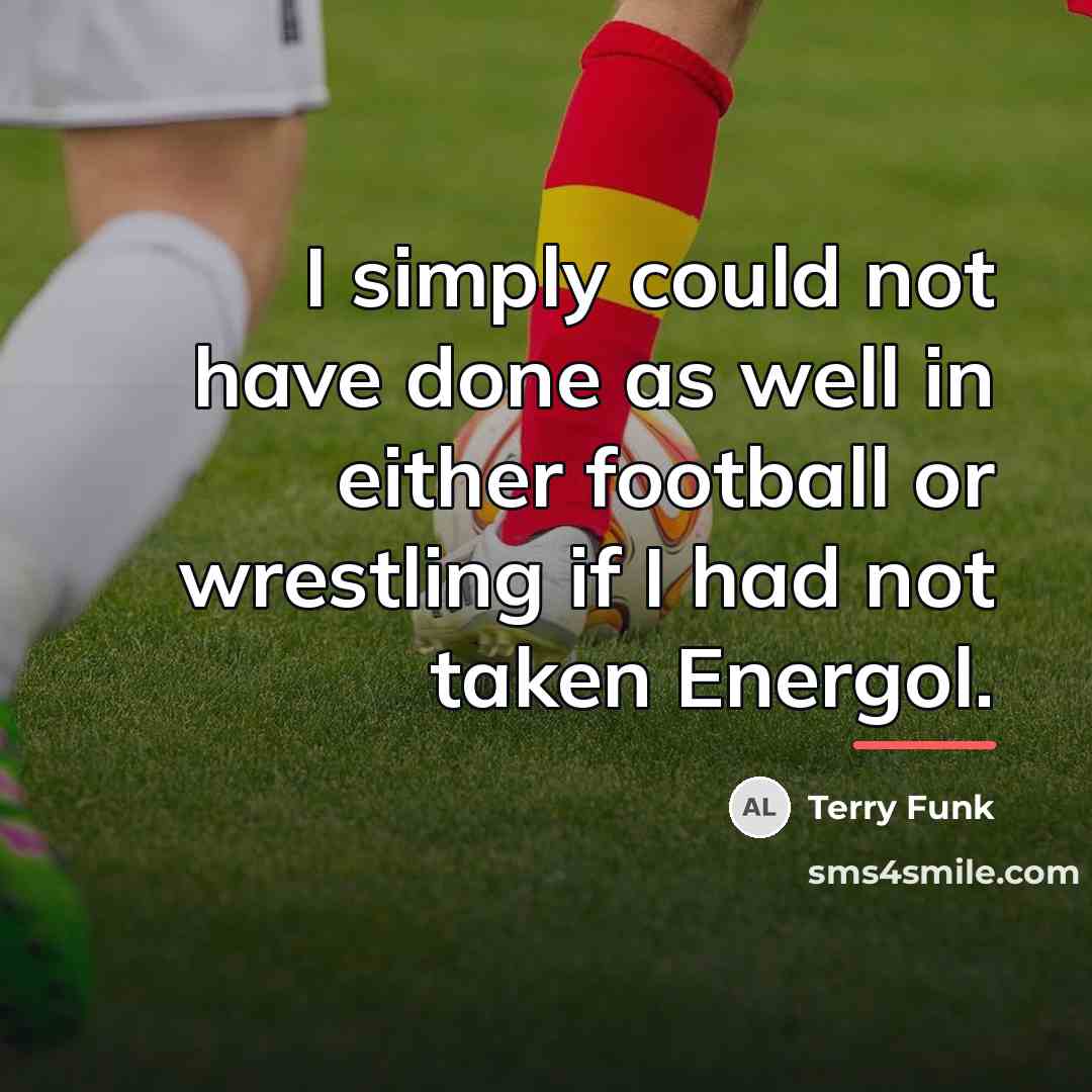 “I simply could not have done as well in either…” quote by Terry Funk