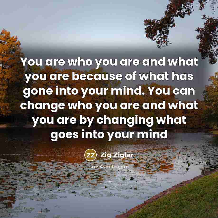 “You are who you are and what you are because…” quote by Zig Ziglar