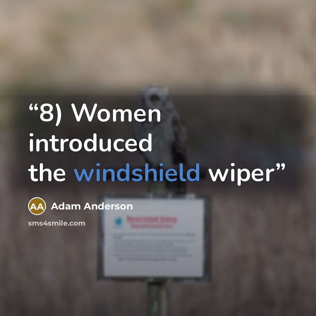 “8) Women introduced the windshield wiper” quote by Adam Anderson