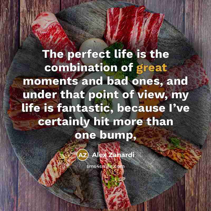 “The perfect life is the combination of great moments and…” quote by Alex Zanardi