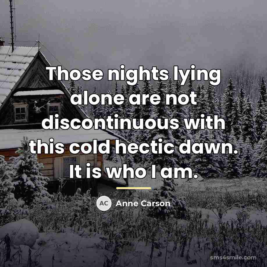 “Those nights lying alone are not discontinuous with this cold…” quote by Anne Carson
