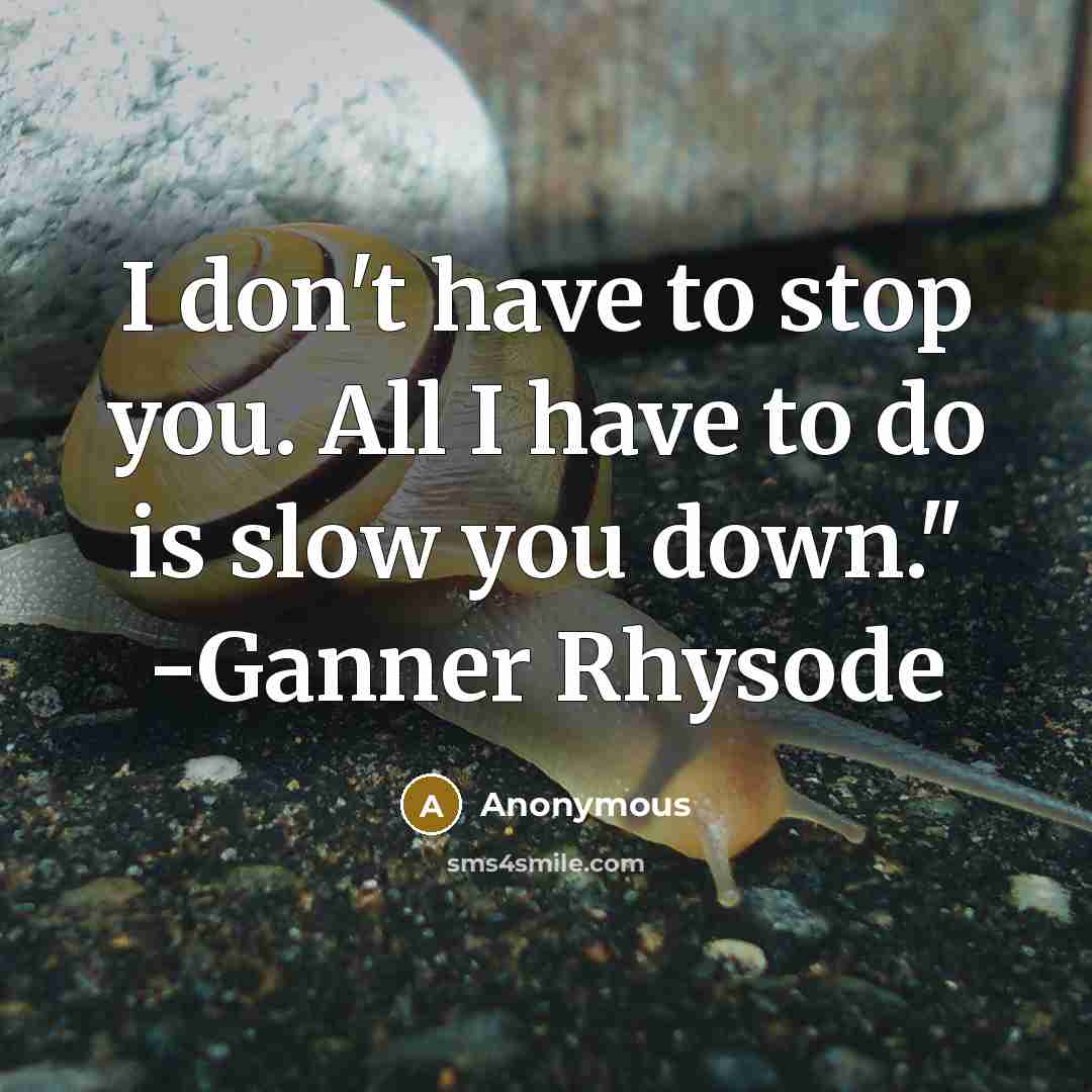 “I don't have to stop you. All I have to do is slow you down." -Ganner Rhysode” quote by Anonymous