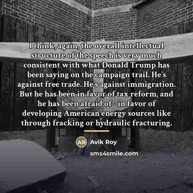 “I think, again, the overall intellectual structure of the speech…” quote by Avik Roy