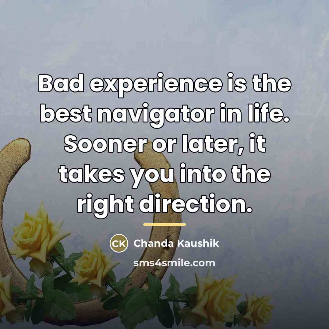 “Bad experience is the best navigator in life. Sooner or…” quote by Chanda Kaushik