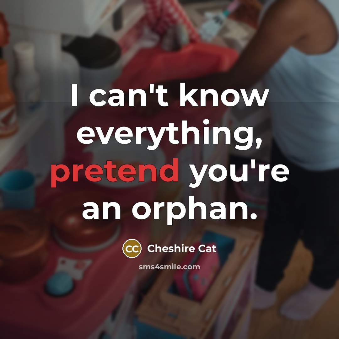 “I can't know everything, pretend you're an orphan.” quote by Cheshire Cat
