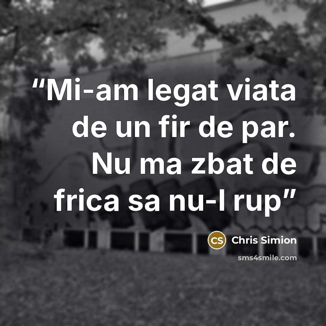 “Mi-am legat viata de un fir de par. Nu ma zbat de frica sa nu-l rup” quote by Chris Simion