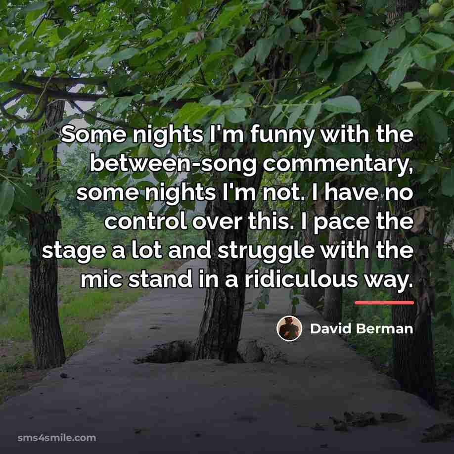 “Some nights I'm funny with the between-song commentary, some nights…” quote by David Berman
