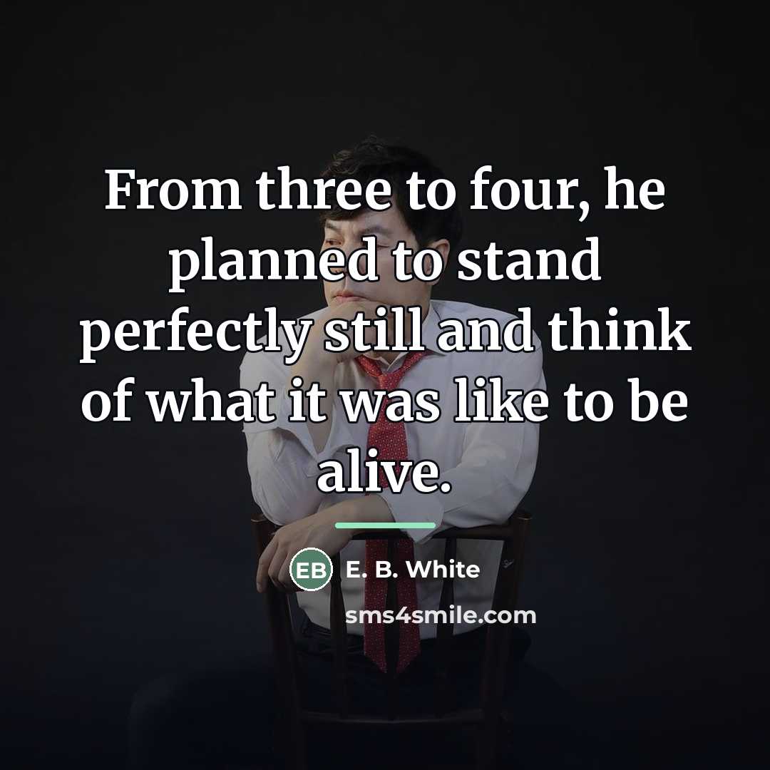 “From three to four, he planned to stand perfectly still…” quote by E. B. White