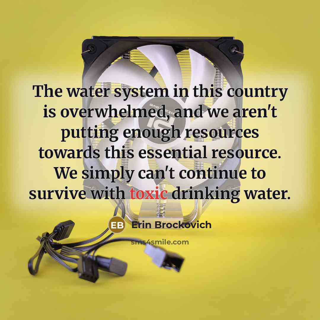 “The water system in this country is overwhelmed, and we…” quote by Erin Brockovich
