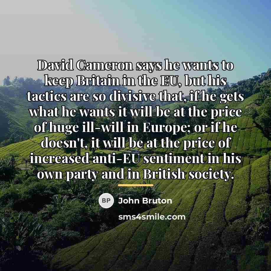 “David Cameron says he wants to keep Britain in the…” quote by John Bruton