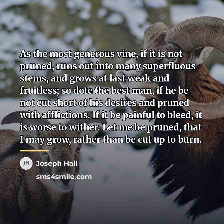 “As the most generous vine, if it is not pruned,…” quote by Joseph Hall