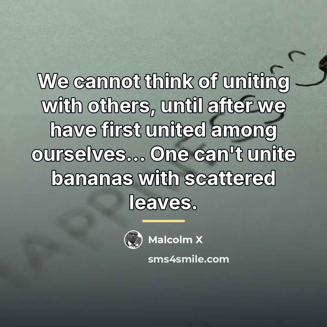 “We cannot think of uniting with others, until after we…” quote by Malcolm X