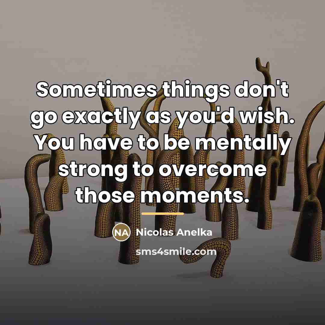 “Sometimes things don't go exactly as you'd wish. You have…” quote by Nicolas Anelka