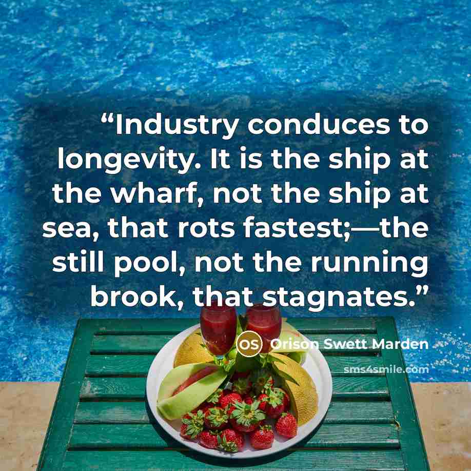 “Industry conduces to longevity. It is the ship at the wharf, not the ship at sea, that rots fastest;—the still pool, not the running brook, that stagnates.” quote by Orison Swett Marden