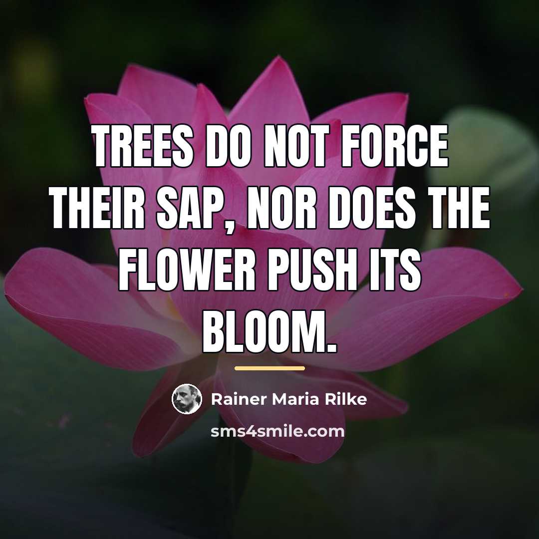 “Trees do not force their sap, nor does the flower…” quote by Rainer Maria Rilke
