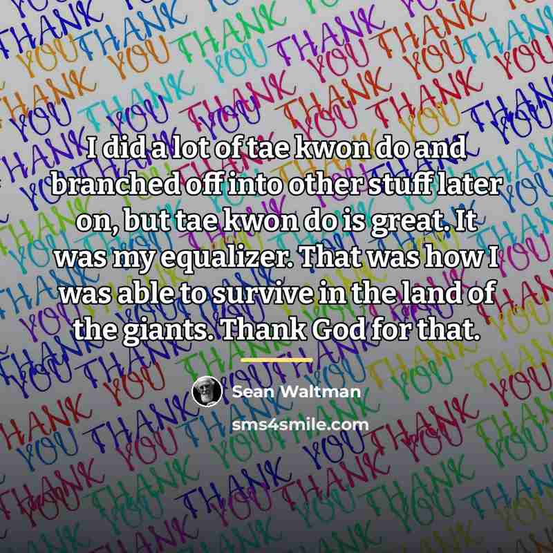 “I did a lot of tae kwon do and branched…” quote by Sean Waltman