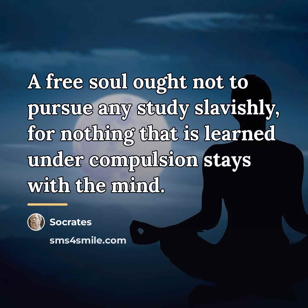 “A free soul ought not to pursue any study slavishly,…” quote by Socrates